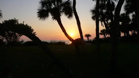 Sunset over the Gulf of Mexico through palm trees near Englewood, Florida